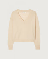 Rax V-Neck Knit