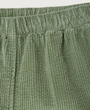 Pado Cord Pant