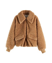 Teddy Bomber